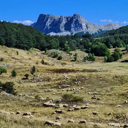 Horizont Cemerno Podborina